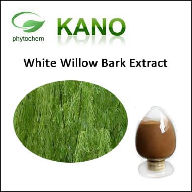 Wild Natural White Willow Bark Extract 5__98_Salicin by HPLC